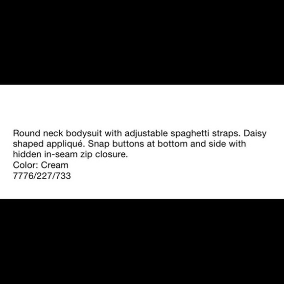 Zara Cream Lace Bodysuit - Picture 3 of 12